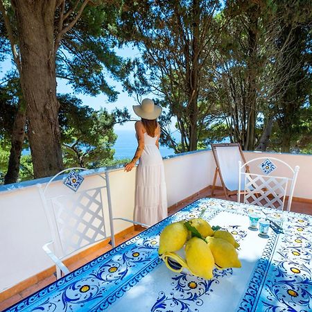 Casa Schiattarella Capri Hotel Kültér fotó